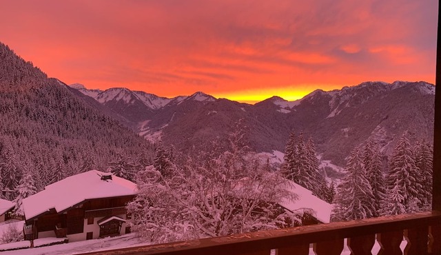 Studio au Coeur des Aples