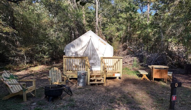 Tentrr State Park Site - Texas Lake Livingston State Park - Site D - Single Camp