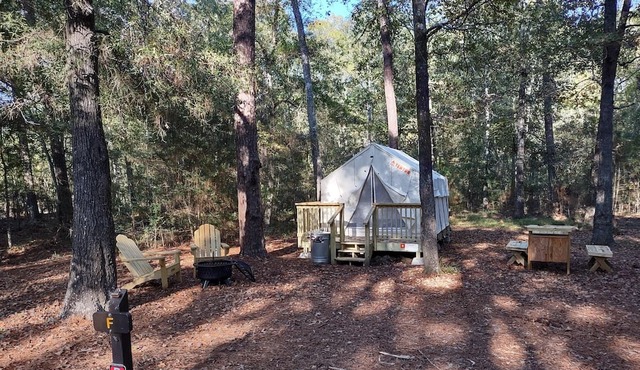 Tentrr State Park Site - TX Lake Livingston State Park - Site B - Single Camp