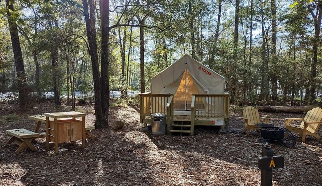 Tentrr State Park Site - Texas Lake Livingston State Park - Site A - Single Camp