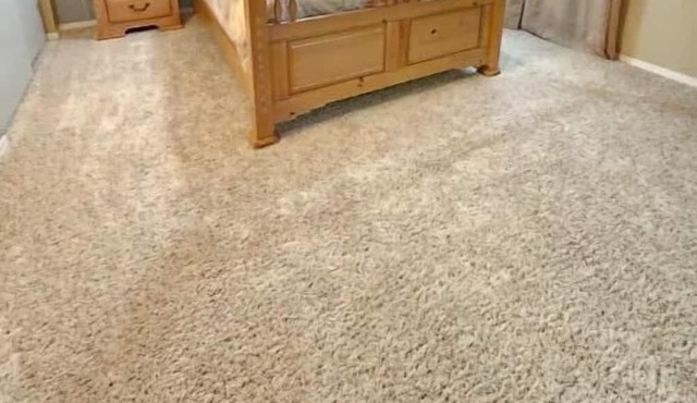 The hide-out basement apartment