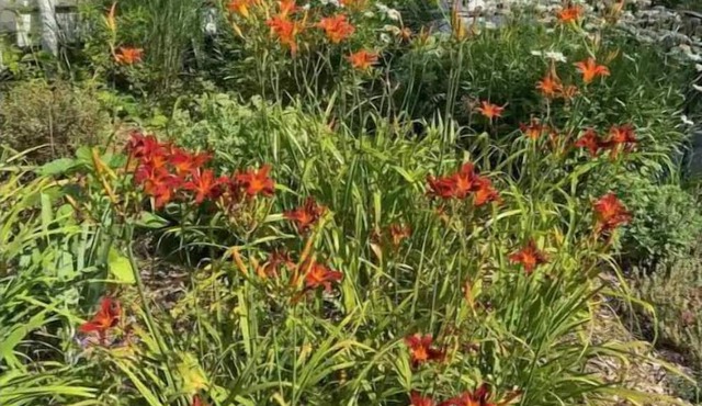 Historic District Apartment