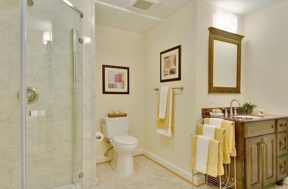 Beautiful home with large trees and foliage. Near tow path and Potomac river.