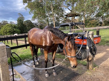 Sydney Horse Riding Retreat