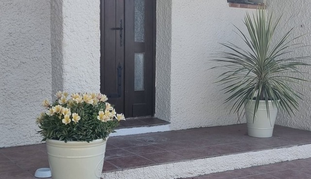 Occitan villa with swimming pool 15 minutes from the sea. Pets allowed