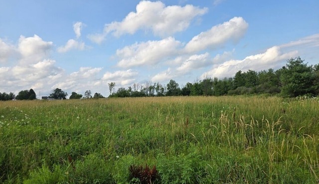 2-bedroom mobile home with AC in Delanson