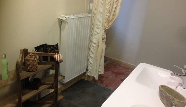 Whole house in town, pets welcome