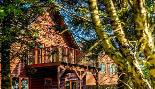 The Braveheart (Pet), Dundee