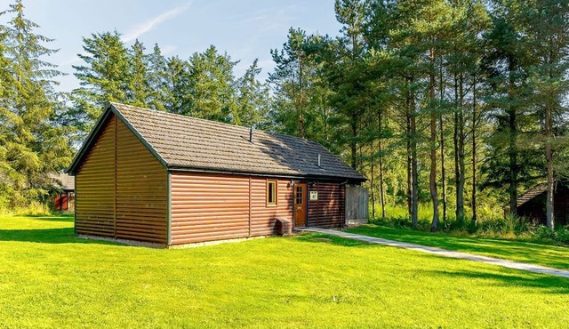 Muirloch Spa Plus (Pet), Dundee