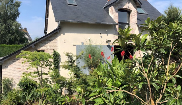 The Little House in the Jungle