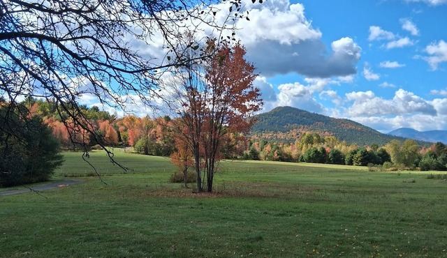 Campsite 2. Pleasant campground in Wadhams perfect for your outdoor getaway
