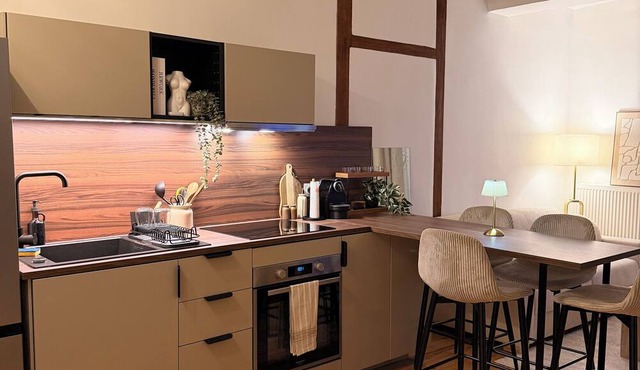 Apartment Jazz | Hyper Centre de Vienne + Parking