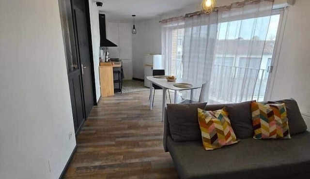 Spacious apartment - City south of Toulouse