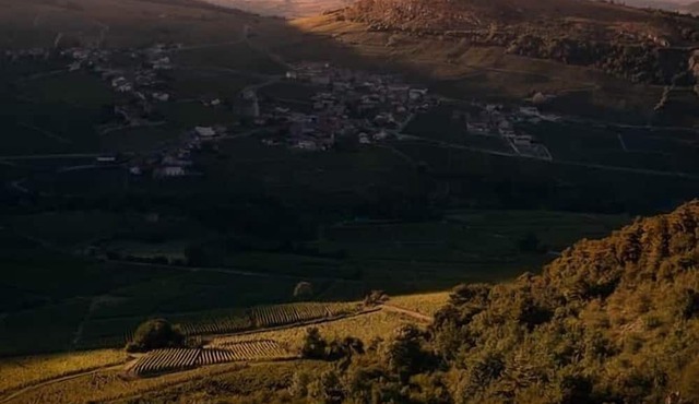 Le Clos des Poncétys > < Villa with swimming pool