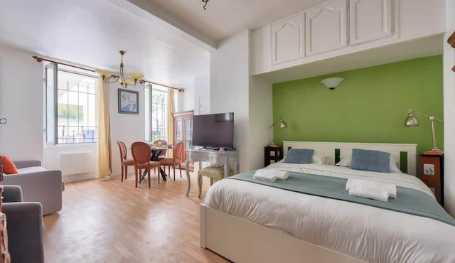 Large & Spacious Studio in Central Paris 15th