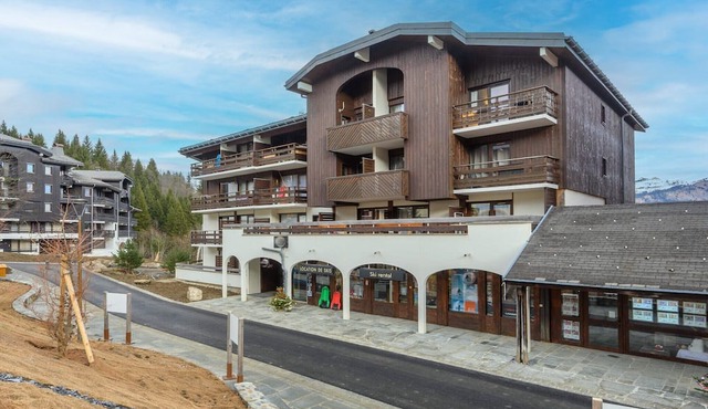 Modern Ski Apartment for 4 in Morillon