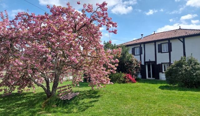 Holiday Home 'Bienvenue À La Maison' with Private Terrace, Private Garden and Wi-Fi