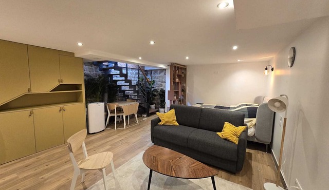 Large studio apartment - Montparnasse Station