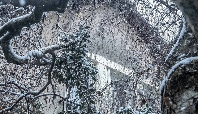 House next to Parc de Sceaux - 20 mins from Paris with train