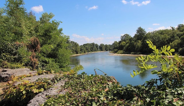 Le Clos des Berges de l'Ain - Riverfront house with pool