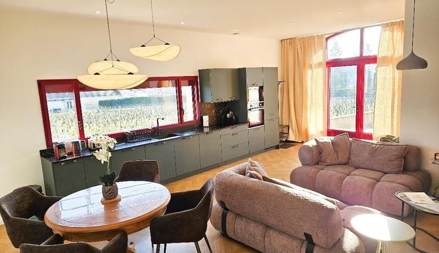 Le Clos des Loups - Air-conditioned house between Vougeot and Chambertin, vineyard view