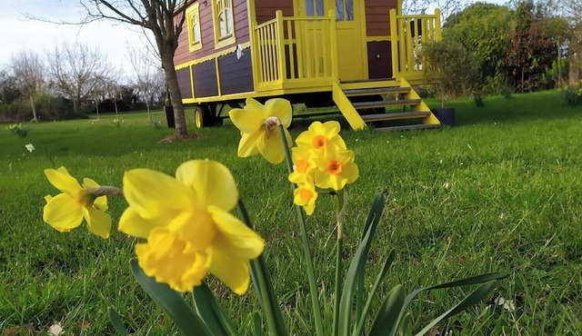 Roulotte Sous le soleil