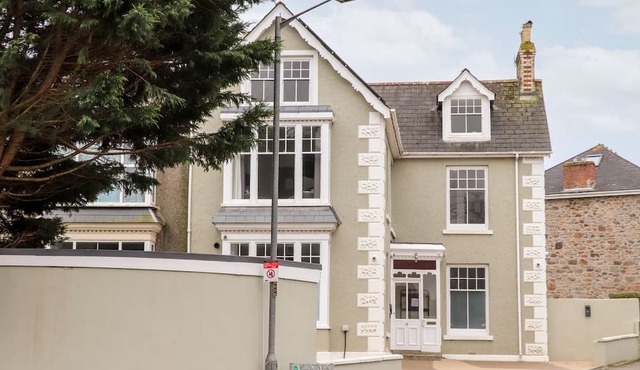 TEYLU, pet friendly in Camborne