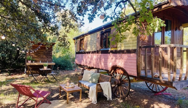 Bohemian caravan in the heart of nature with horses and donkeys