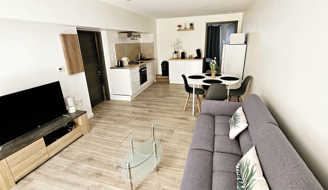 Nice apartment T2 50m² quiet, PMR access, near downtown