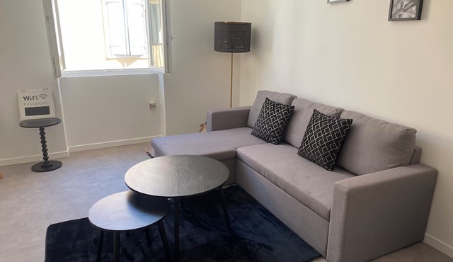 Downtown T2 apartment