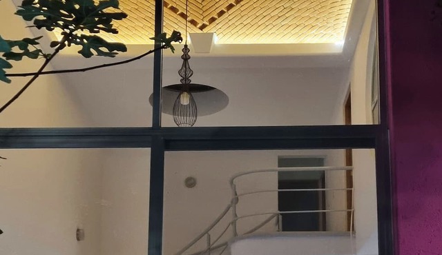 Jardin Elvira