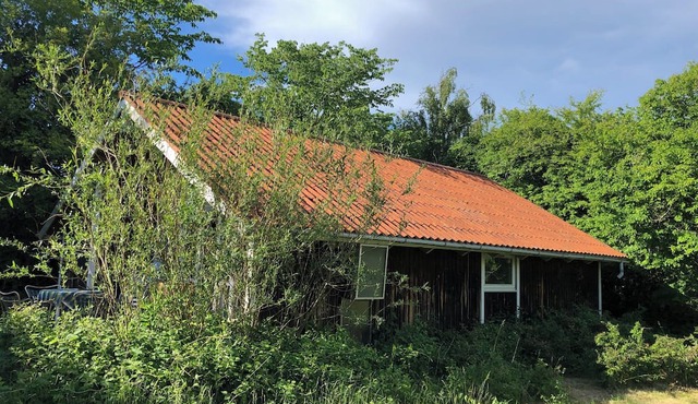 Family-Friendly Home in Beautiful Setting