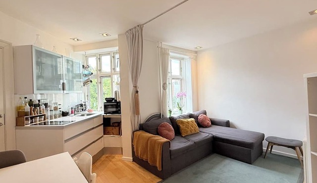 City Apartment in Copenhagen with 1 bedrooms sleeps 3