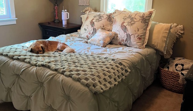 Cute cottage in Pawleys with 2 queen beds and 2 full baths that allow pets!