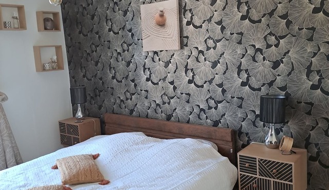 Atypical Saumur center 3 bedrooms 7 pers nice renovated apartment