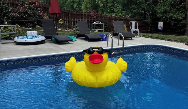 The Oasis! Close to downtown Raleigh & Coastal Credit Union at Walnut Creek