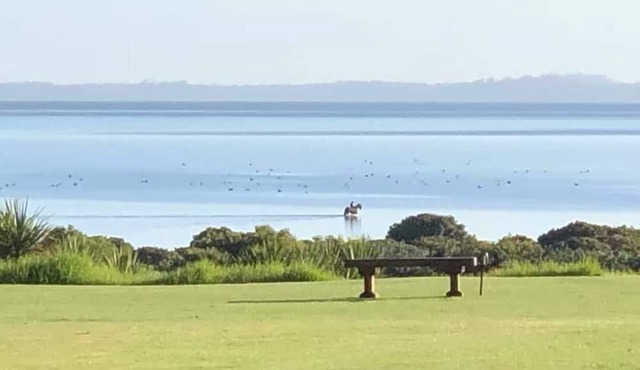 Black Swan Retreat: Lifestyle Charm on a Budget