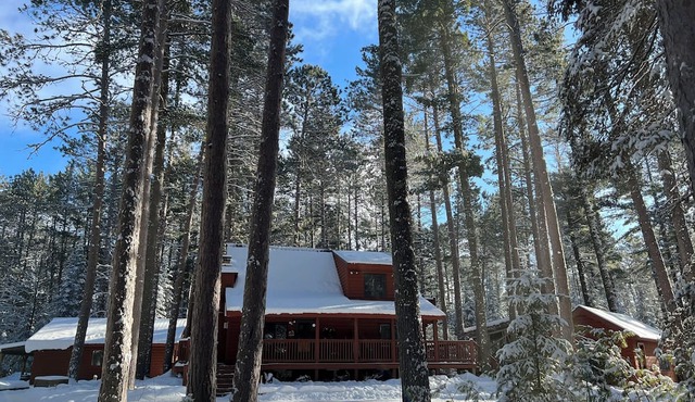 Amazing Ely Cabin & Gorgeous Secluded Property