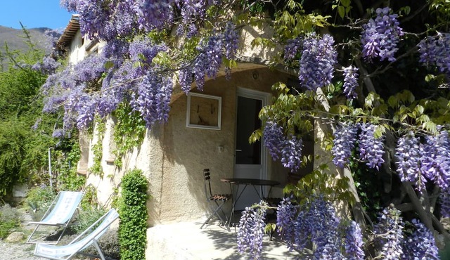 Apartment in Provence in a quiet area with mountai