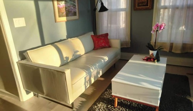 Sunny and cozy apartment near Downtown Montclair and NYC.