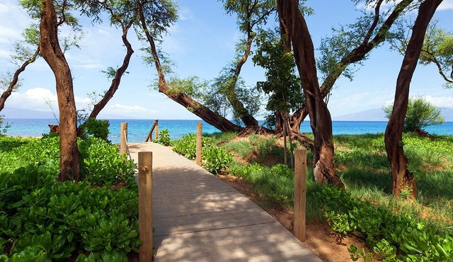 THANKSGIVING WEEK - Maui Resort - Westin Nanea Villas 3BR Oceanfront Villa