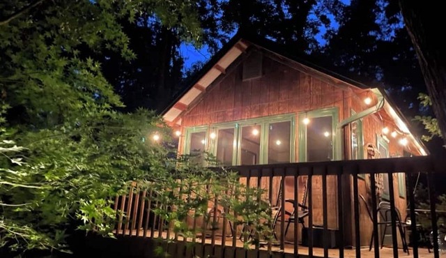 Magic Cabin: The perfect woodland escape located in the heart of Chapel Hill.