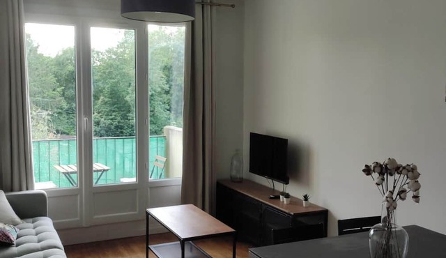 Bright apartment - park view