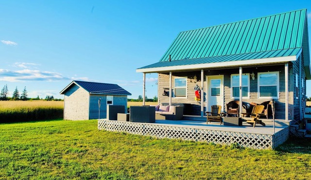 Private, relaxing seaside retreat. Fun outdoor amenities for everyone.