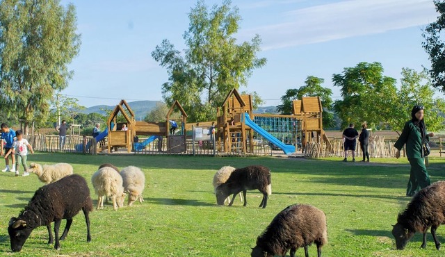 House with swimming pool vacation rental at ferme pédagogique du dolmen
