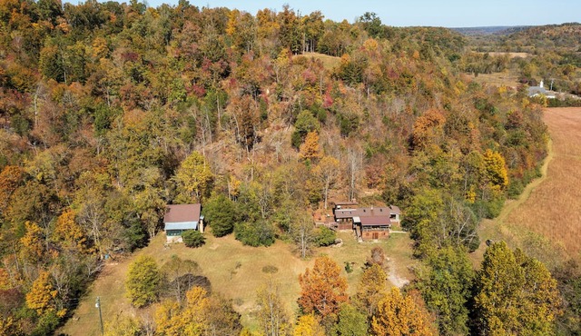 Charming, private, 1952 log cabin in the country 4 miles from Fairview.