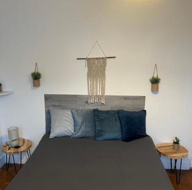 LESCALE I CALME I CENTRE VILLE 2KM I PARKINg