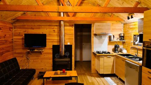 Chalet bois au pied des pistes