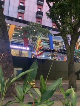 Rasyadarkaapartment