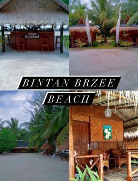 Bintan Brzee Beach in Bintan Island - Bungalow 4